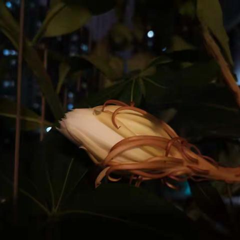 燕燕于飞的美篇