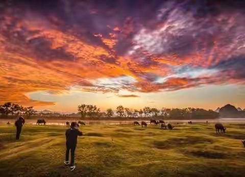 漓江仙境油麻滩！