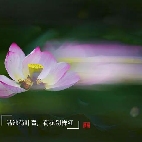 生活点滴