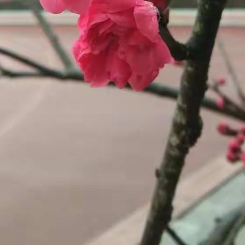 面朝大海，静待春暖花开