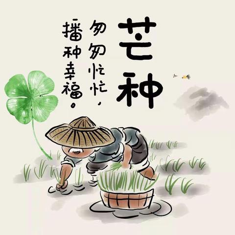 【二十四节气】芒种－－匆匆忙忙，播种幸福