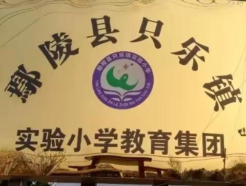 只乐镇实验小学2021年迎元旦活动展示