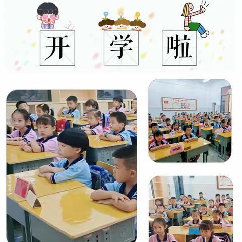 丁香小学2107班，围观一群快乐而美丽的丁香花骨朵！