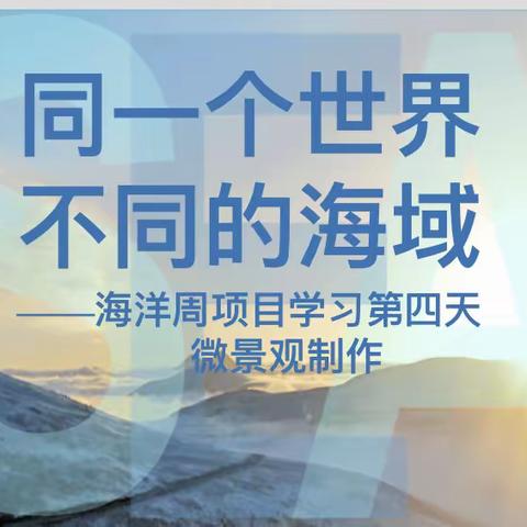 同一个世界，不同的海域—北师青附二学部南四楼海洋周项目纪实（第四天）