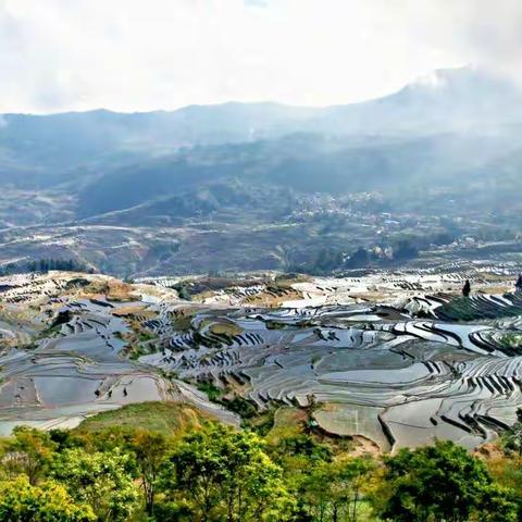 感受百年蘑菇房古村落------云南元阳县新街镇阿者科村