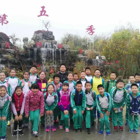 秋雨梧桐叶落时