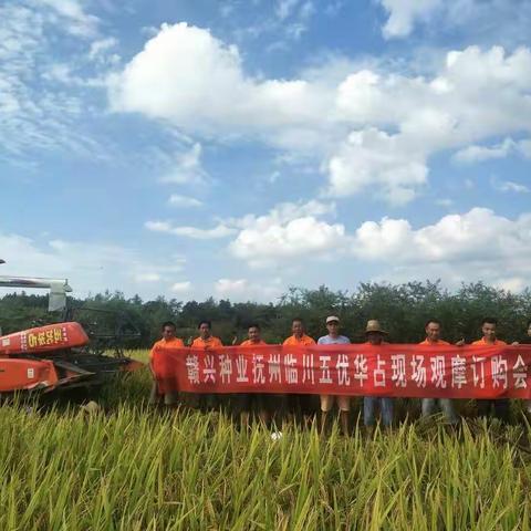 高产我做主—五优华占早一季