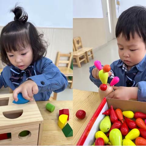 🏫贝德堡艾尚幼儿园托四班🌷今日反馈