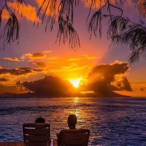 真情犹在，岁月不老