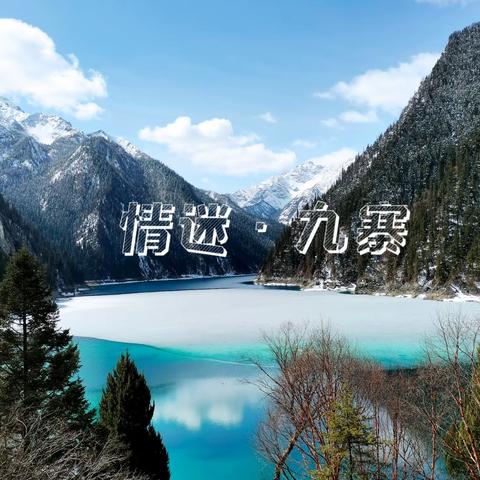 九寨归来