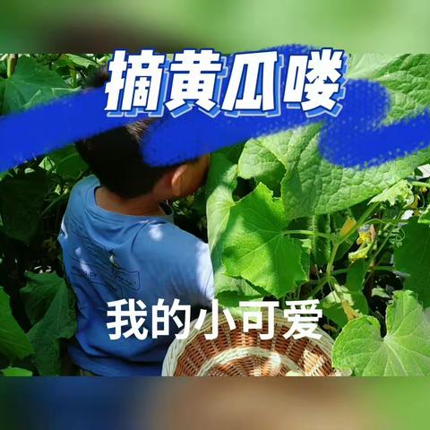 古庄营幼儿园小班种植园收获多多