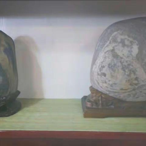 欢迎您来到这个大舞台，进入赏石队伍和书画界这个大家庭！