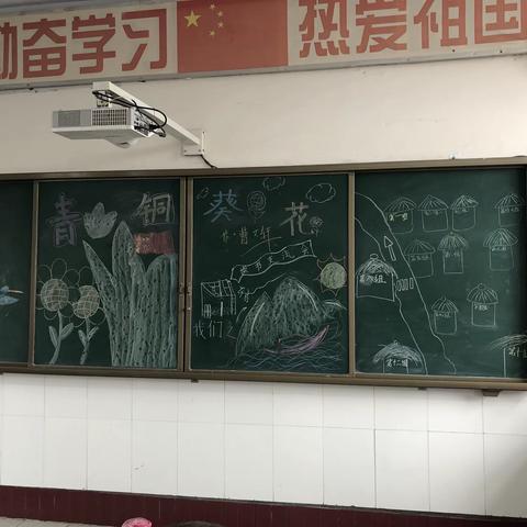 四七班《青铜葵花》读书交流会