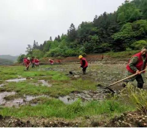党员先锋齐下沉当好春耕“勤务兵”