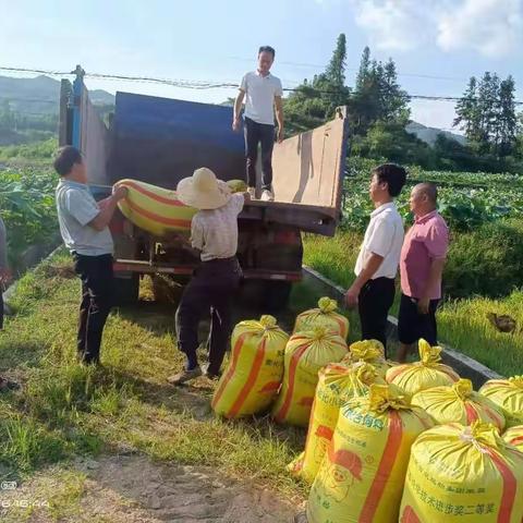 退役军人下一线 做好粮食“后勤兵”