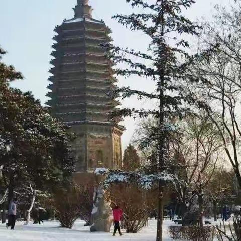 锦州终于下雪了