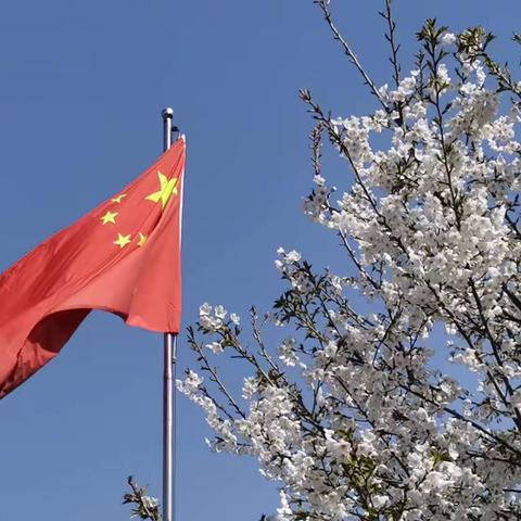 春有约 花不负—崇义邀您共享春日美景