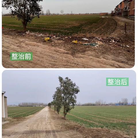 崇义镇人居环境整治攻坚行动每日动态