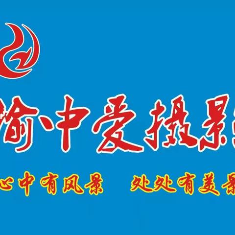 榆中县爱摄影学会蓝军1号的美篇
