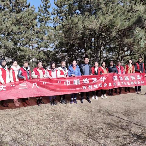 巾帼绽芳华   奋进谱新篇——西街社区党总支3月份主题党日活动