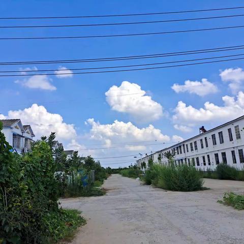 留驻美好