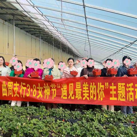 曲周支行举办3·8女神节“遇见最美的你”主题客户采摘活动