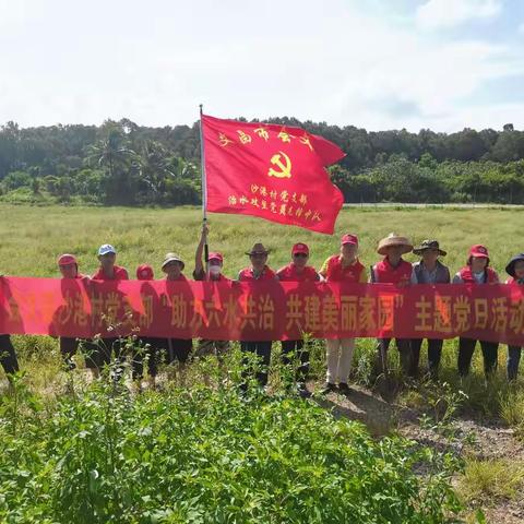 会文镇沙港村党支部持续开展“助力六水共治    共建美丽家园"主题党日活动