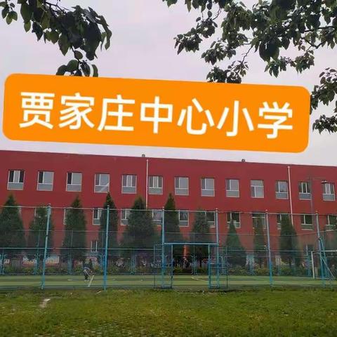 双减在行动——共话作业   减量提质之数学组展示交流活动