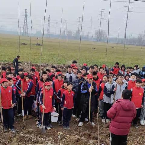 植树造林      美化环境     我们在行动