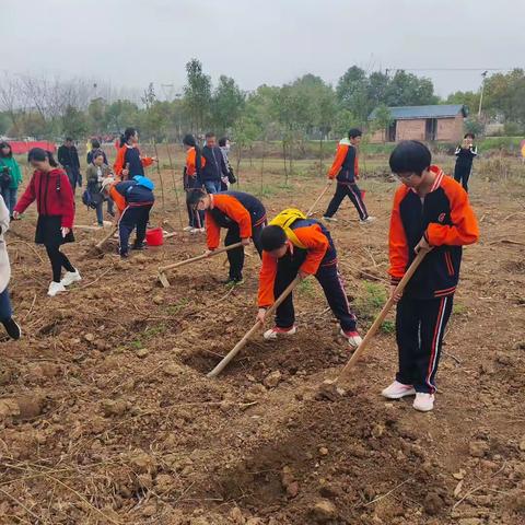感受春日的温暖 放飞梦想与快乐～2210班2023年上学期社会公益和实践活动