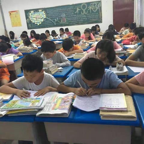 枫林学校防溺水安全教育——从我做起