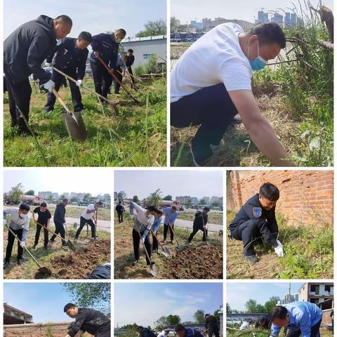 劳动最光荣—能源保障公司除草劳动记录