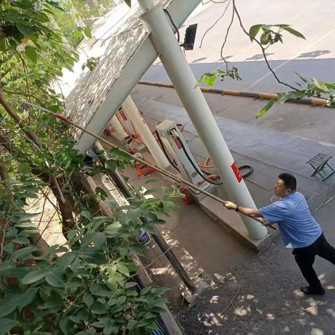 能源保障公司开展清除绿化遮挡隐患:“看得见”行动