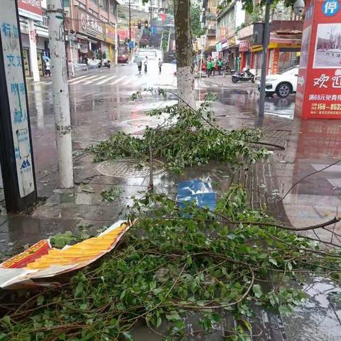 雨后见彩虹—道真玉诚环境突击整治