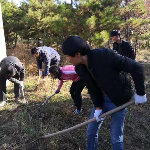 领会落实文件精神 合力整治环境卫生