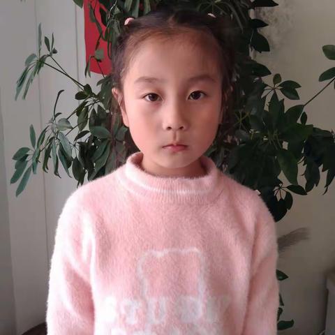 大家好我是卢氏一小一（1）班董昭绮，我给大家准备的课前展示是古诗朗诵《咏鹅》和《春晓》