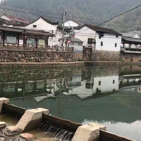 无论你昨晚经历了怎样的泣不成声，早上醒来，这个乡村依然生机勃勃