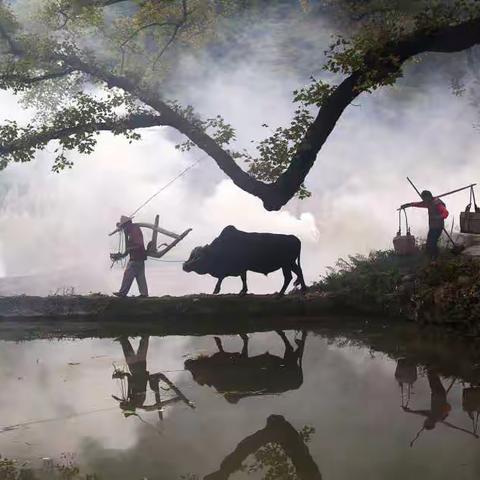 【大哥大嫂】