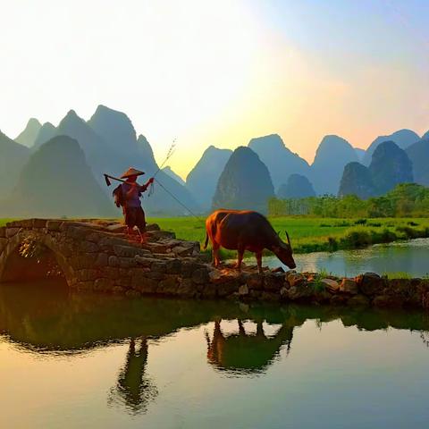 老了，就回家种菜养花