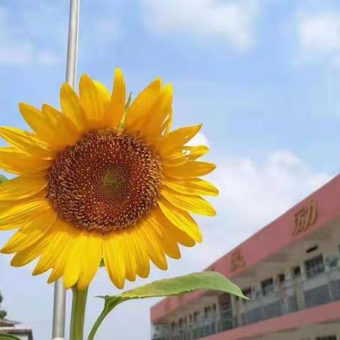 落实“双减”抓常规，常规检查促提升----一实小前集校区教学常规检查