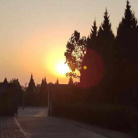 疫情当前  责任在肩 用行动演绎青中人的责任和担当——第八周值周工作掠影