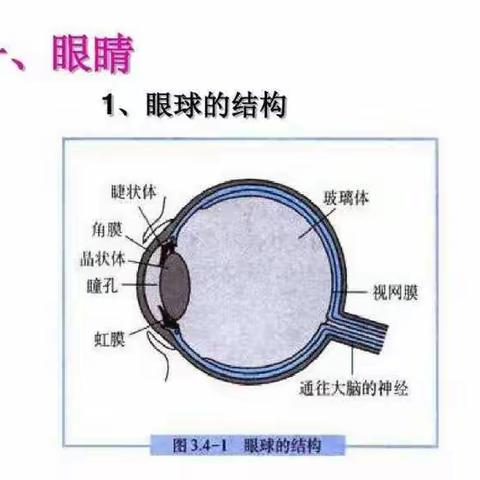 欣欣路幼儿园 爱眼护眼宣传活动