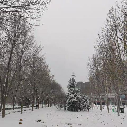 拥抱漫天纯净，畅享今冬初雪