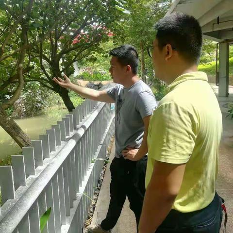 区住建局落实中央环保督察工作情况