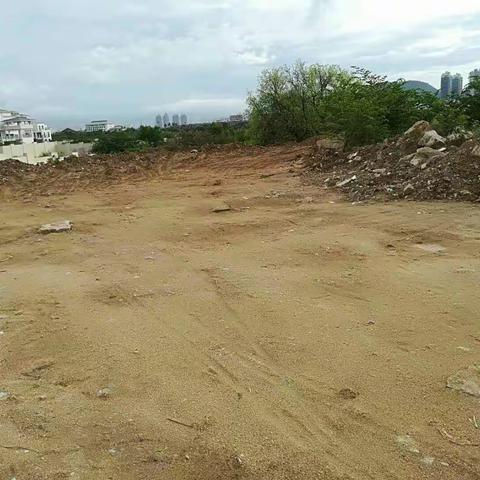 关于市“创文巩卫”督查督办通报鹿回头社区垃圾中转站对面黄土裸露的整改措施