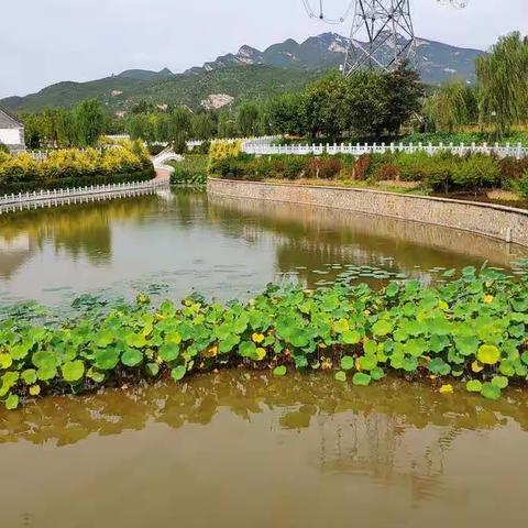 中秋节小长假的最后一天，带着家人去绿野仙踪转了一圈，不错哦，值得推荐！吃喝玩乐一整天，简单开心就好！