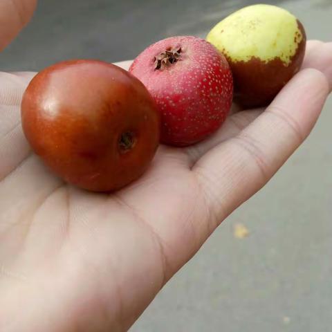 美色美味，贵在分享！