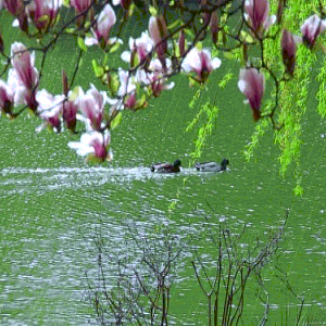 共克时艰，不负春光——九台职教中心线上教学活动实况