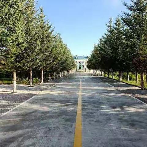 初夏时节耕耘忙      追梦路上浸馨香           ——教学活动总结（五月季）