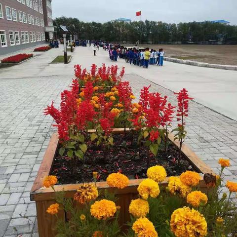 教学路上齐奋斗没有理由，因为我们热爱祖国